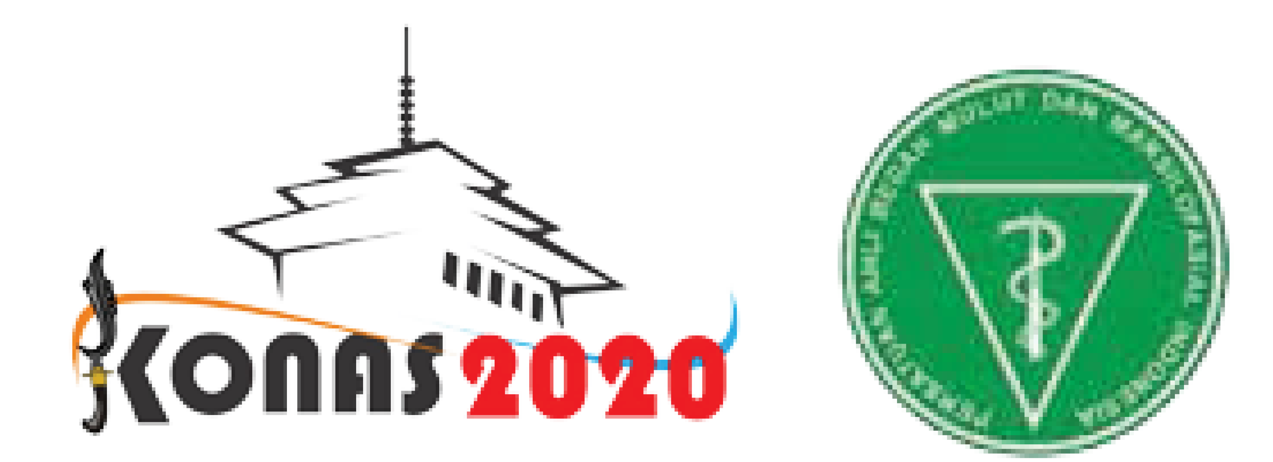 Logo KONNS 2020
